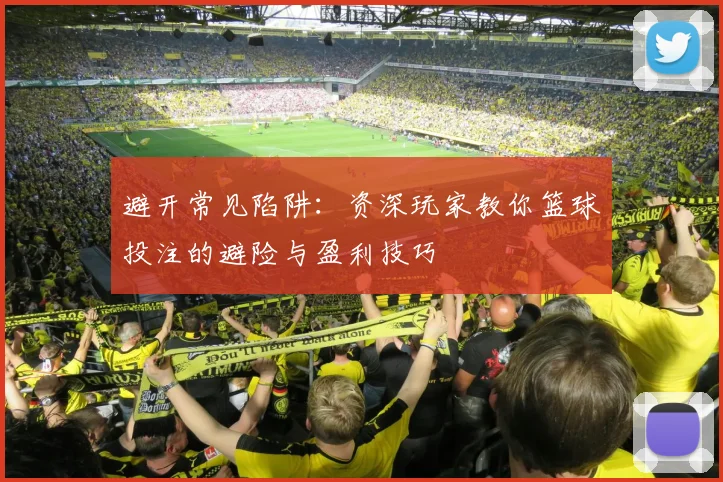 避开常见陷阱：资深玩家教你篮球投注的避险与盈利技巧