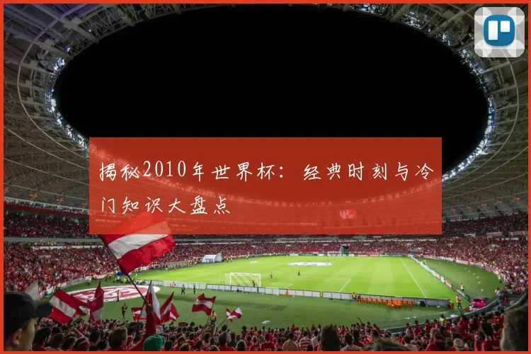 揭秘2010年世界杯:经典时刻与冷门知识大盘点